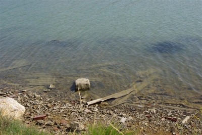 Eko stanje_6